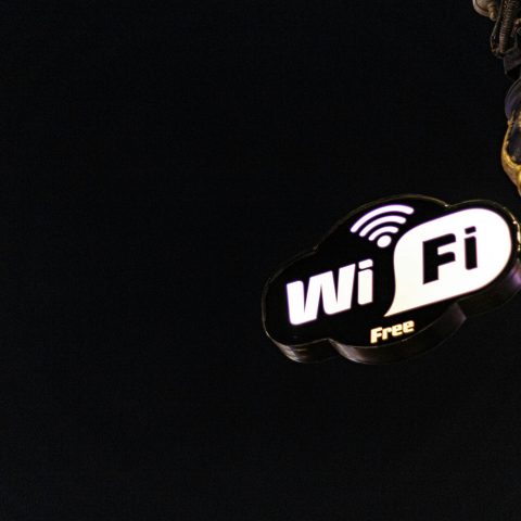 yasara-hansani-Y81s6NPBRC8-unsplash yasara-hansani-Y81s6NPBRC8-unsplash